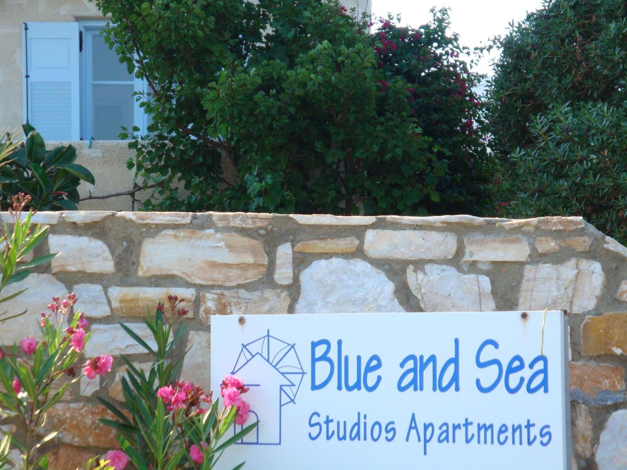 Blue & Sea Studios Apartments Drios Exterior photo